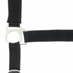 Discount Norton - Licol nylon doublé néoprène noir