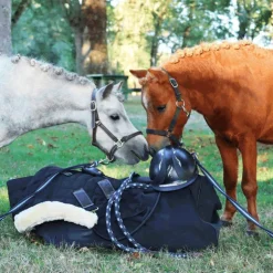 Discount Norton - Licol nylon doublé néoprène noir