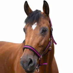 New Norton - Licol nylon doublé néoprène noir/ framboise