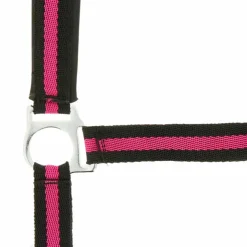 New Norton - Licol nylon doublé néoprène noir/ framboise