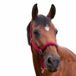 Norton - Licol nylon doublé néoprène rouge Clearance