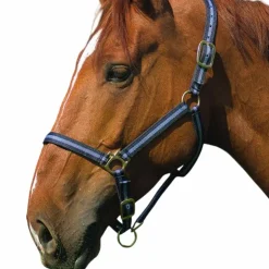 Norton - Licol nylon / bleu ciel Noir Best