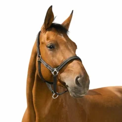 Norton - Licol Reflective Noir New