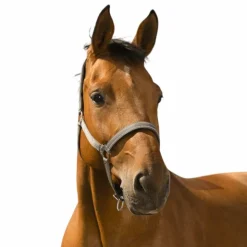 Best Norton - Licol Reflective Gris