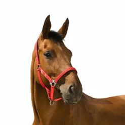 Online Norton - Licol Reflective Rouge