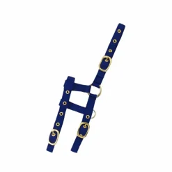 Norton - Licol réglable mini bleu roi Outlet