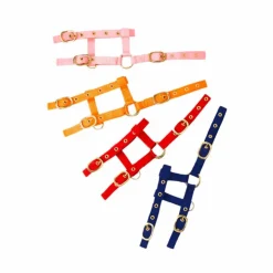 Norton - Licol réglable mini orange Discount