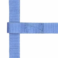 Outlet Norton - Licol réglable mini bleu ciel