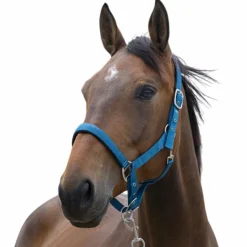 Norton - Licol Satine canard Bleu Best