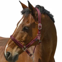 Hot Norton - Licol Satine / noir Bordeaux