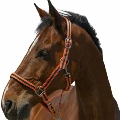 Hot Norton - Licol Satine corail/ noir Orange