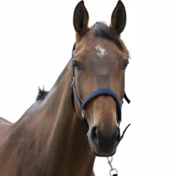 Norton - Licol Satine Marine Outlet