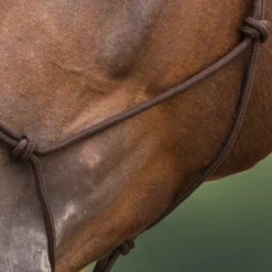 Clearance Norton - Licol éthologique doux marron