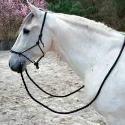 Discount Norton - Licol éthologique avec rênes roi Bleu