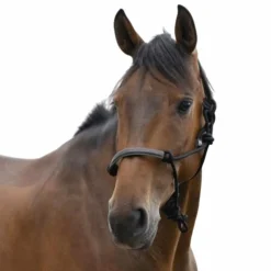 Norton - Licol éthologique corde/ synthétique Noir Outlet