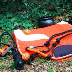 Hot Norton - Licol éthologique et longe Fun colour /orange Noir