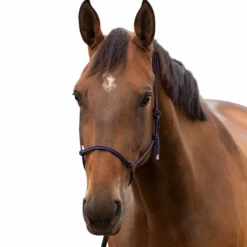 Norton - Licol éthologique doux poney marine New