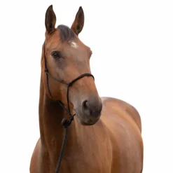 Outlet Norton - Licol éthologique doux poney noir