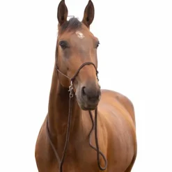 Norton - Licol éthologique avec rênes brun Marron Online