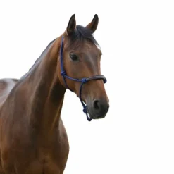 Outlet Norton - Licol éthologique corde/ synthétique Bleu