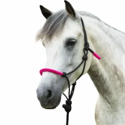 Norton - Licol éthologique et longe Fun colour /fuschia Noir Clearance