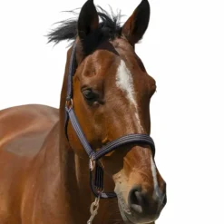 Online Norton - Licol Zari Marine