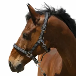 Norton - Licol Zari Noir Hot