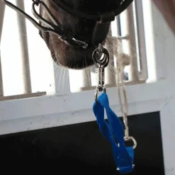 Norton - Longe de transport vif Bleu Sale