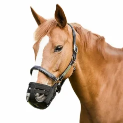 Norton - Panier muselière Noir