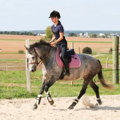 Hot Norton - Protège-boulets mouton XTR marine