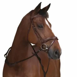 Online Norton - Rênes sangles à poignées havane