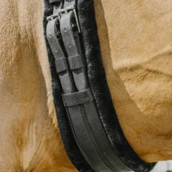 Norton - Sangle élastique courte Smooth Noir Outlet