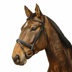 Norton Pro - Bridon Apophyse Noir Outlet