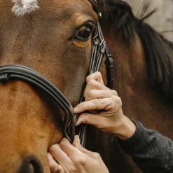 Norton Pro - Bridon Apophyse Noir Outlet