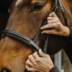 Norton Pro - Bridon Apophyse Noir Outlet