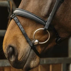 Norton Pro - Bridon Dark Noir Online