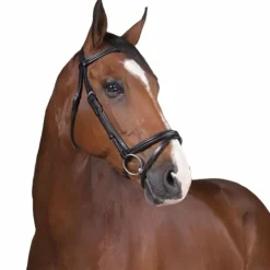 Norton Pro - Bridon fin Noir Sale