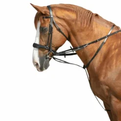 Online Norton Pro - Enrênement Thiedeman Noir