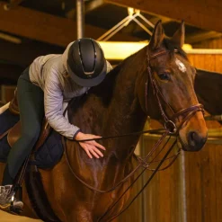 Sale Norton Pro - Rênes allemandes sangle havane Marron