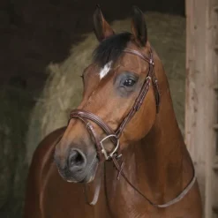 Norton Pro - Rênes caoutchouc havane 16 mm Online