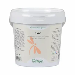 Nutragile - Complément alimentaire CMV New