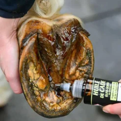 New Onguent du Maréchal - Protection de la fourchette du maréchal Elfo Soins