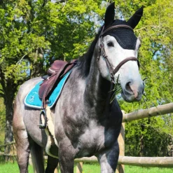 Paddock Sports - Bonnet à strass marine