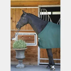 Online Paddock Sports - Chemise de présentation 0g Vert