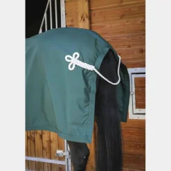 Online Paddock Sports - Chemise de présentation 0g Vert