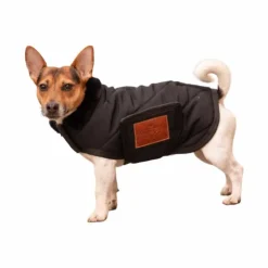 Paddock Sports - Couverture pour chien Diagonal Noir Sale