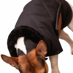 Paddock Sports - Couverture pour chien Diagonal Noir Sale