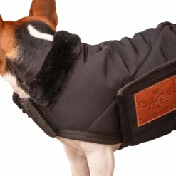Paddock Sports - Couverture pour chien Diagonal Noir Sale