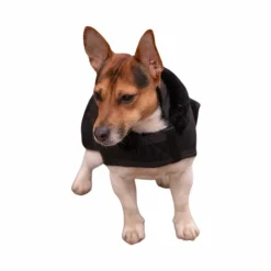 Paddock Sports - Couverture pour chien Diagonal Noir Sale