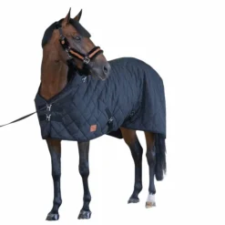 Paddock Sports - Couverture de box matelassée 50 g Noir Online